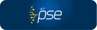 PSE Logo
